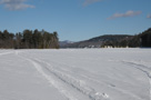 Winter Wonderland